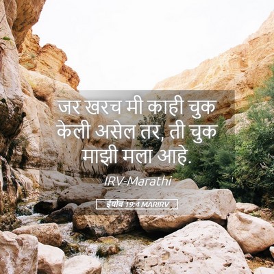 Picture 05 - ईयोब 19:4 MARIRV - जर खरच मी काही चुक - Bible Verse Picture