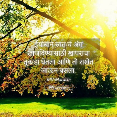 Picture 05 - ईयोब 2:8 MARIRV - ईयोबाने स्वतःचे - Bible Verse Picture