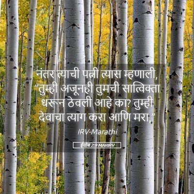 Picture 05 - ईयोब 2:9 MARIRV - नंतर त्याची पत्नी - Bible Verse Picture