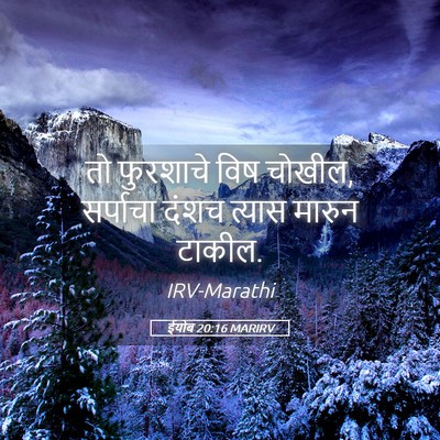 Picture 05 - ईयोब 20:16 MARIRV - तो फुरशाचे विष - Bible Verse Picture