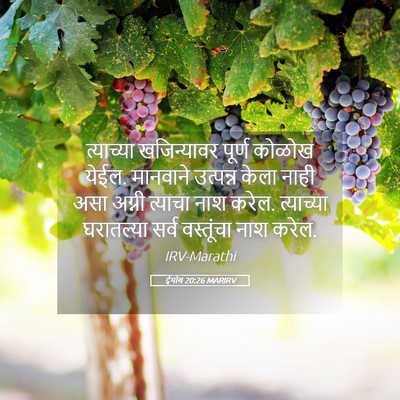 Picture 05 - ईयोब 20:26 MARIRV - त्याच्या - Bible Verse Picture