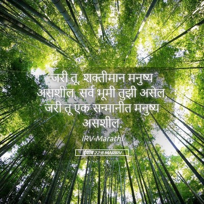 Picture 05 - ईयोब 22:8 MARIRV - जरी तू, शक्तीमान - Bible Verse Picture
