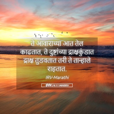 Picture 05 - ईयोब 24:11 MARIRV - ते आवाराच्या आत - Bible Verse Picture