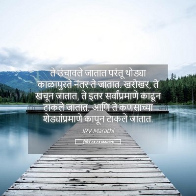 Picture 05 - ईयोब 24:24 MARIRV - ते उंचावले जातात - Bible Verse Picture