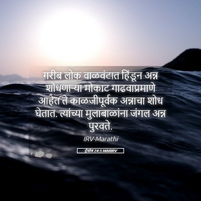 Picture 05 - ईयोब 24:5 MARIRV - गरीब लोक वाळवंटात - Bible Verse Picture