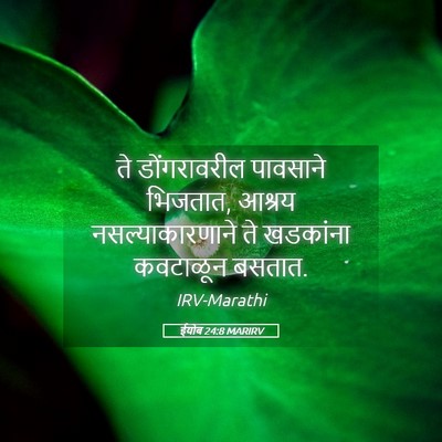 Picture 05 - ईयोब 24:8 MARIRV - ते डोंगरावरील - Bible Verse Picture