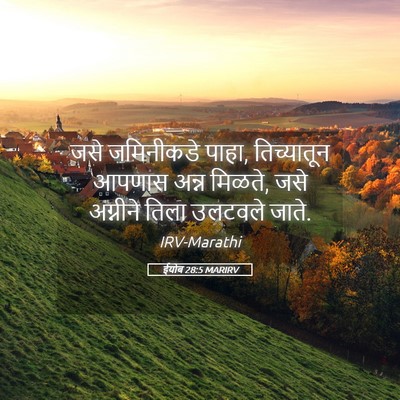Picture 05 - ईयोब 28:5 MARIRV - जसे जमिनीकडे पाहा, - Bible Verse Picture