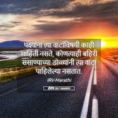Picture 05 - ईयोब 28:7 MARIRV - पक्ष्यांना त्या - Bible Verse Picture