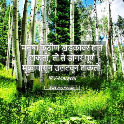 Picture 05 - ईयोब 28:9 MARIRV - मनुष्य कठीण - Bible Verse Picture