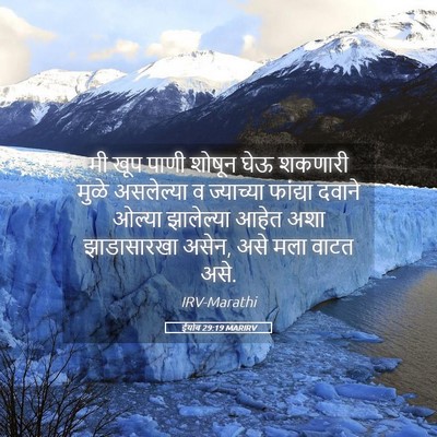 Picture 05 - ईयोब 29:19 MARIRV - मी खूप पाणी शोषून - Bible Verse Picture
