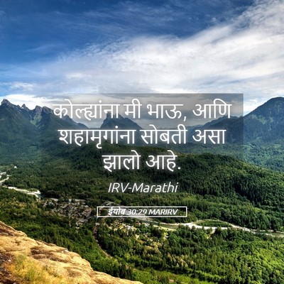 Picture 05 - ईयोब 30:29 MARIRV - कोल्ह्यांना मी - Bible Verse Picture