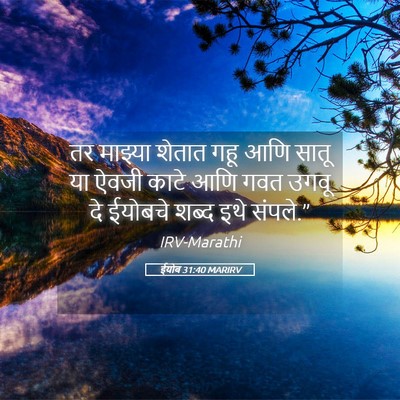 Picture 05 - ईयोब 31:40 MARIRV - तर माझ्या शेतात - Bible Verse Picture