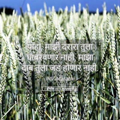 Picture 05 - ईयोब 33:7 MARIRV - पाहा, माझी दरारा - Bible Verse Picture