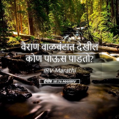 Picture 05 - ईयोब 38:26 MARIRV - वैराण वाळवंटात - Bible Verse Picture