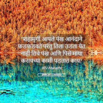 Picture 05 - ईयोब 39:13 MARIRV - “शहामृगी आपले पंख - Bible Verse Picture