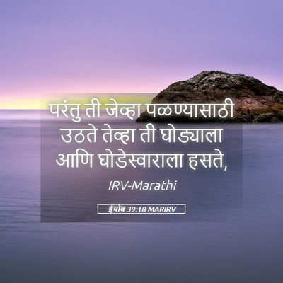 Picture 05 - ईयोब 39:18 MARIRV - परंतु ती जेव्हा - Bible Verse Picture