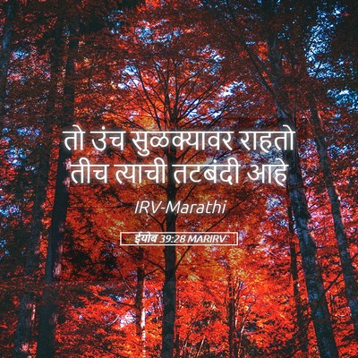 Picture 05 - ईयोब 39:28 MARIRV - तो उंच सुळक्यावर - Bible Verse Picture