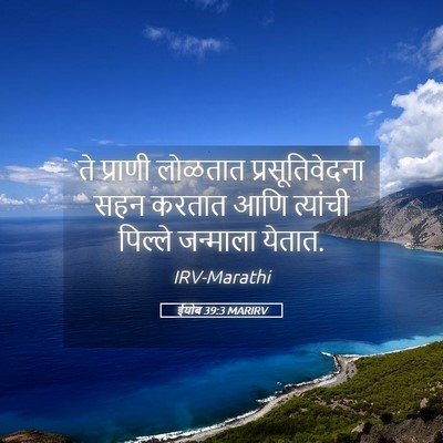 Picture 05 - ईयोब 39:3 MARIRV - ते प्राणी लोळतात - Bible Verse Picture