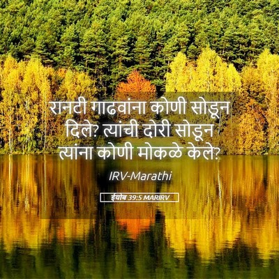 Picture 05 - ईयोब 39:5 MARIRV - रानटी गाढवांना - Bible Verse Picture