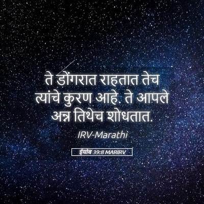 Picture 05 - ईयोब 39:8 MARIRV - ते डोंगरात राहतात - Bible Verse Picture