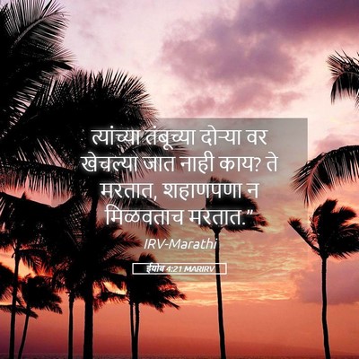 Picture 05 - ईयोब 4:21 MARIRV - त्यांच्या - Bible Verse Picture