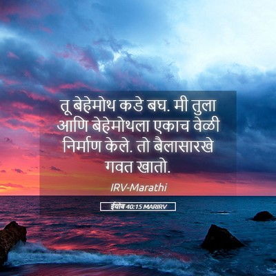Picture 05 - ईयोब 40:15 MARIRV - तू बेहेमोथ कडे बघ. - Bible Verse Picture