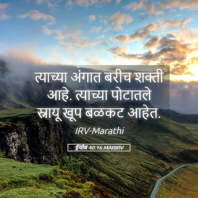 Picture 05 - ईयोब 40:16 MARIRV - त्याच्या अंगात - Bible Verse Picture