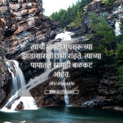 Picture 05 - ईयोब 40:17 MARIRV - त्याची शेपटी - Bible Verse Picture