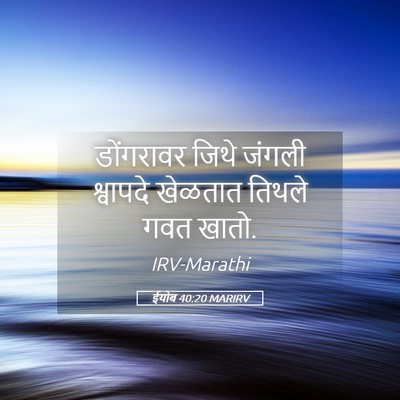 Picture 05 - ईयोब 40:20 MARIRV - डोंगरावर जिथे - Bible Verse Picture