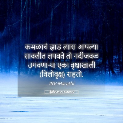 Picture 05 - ईयोब 40:22 MARIRV - कमळाचे झाड त्यास - Bible Verse Picture