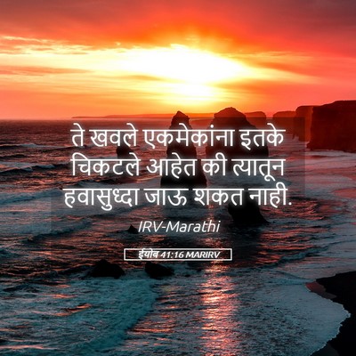Picture 05 - ईयोब 41:16 MARIRV - ते खवले एकमेकांना - Bible Verse Picture