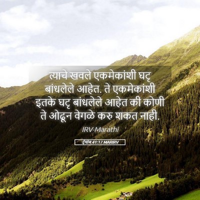 Picture 05 - ईयोब 41:17 MARIRV - त्याचे खवले - Bible Verse Picture