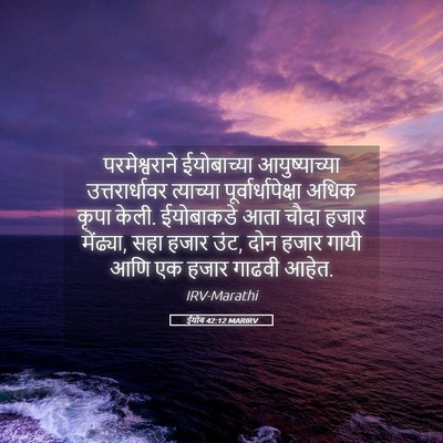 Picture 05 - ईयोब 42:12 MARIRV - परमेश्वराने - Bible Verse Picture