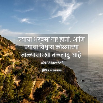 Picture 05 - ईयोब 8:14 MARIRV - ज्याचा भरवसा नष्ट - Bible Verse Picture