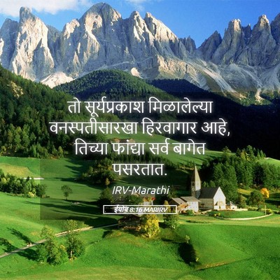 Picture 05 - ईयोब 8:16 MARIRV - तो सूर्यप्रकाश - Bible Verse Picture