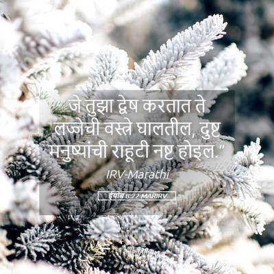 Picture 05 - ईयोब 8:22 MARIRV - जे तुझा द्वेष - Bible Verse Picture