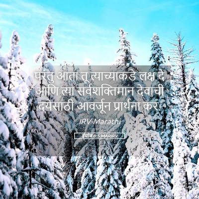 Picture 05 - ईयोब 8:5 MARIRV - परंतु आता तू - Bible Verse Picture