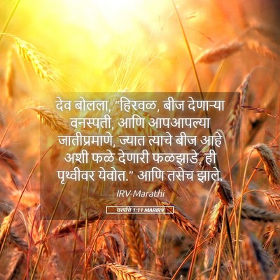 Picture 05 - उत्पत्ति 1:11 MARIRV - देव बोलला, “हिरवळ, - Bible Verse Picture