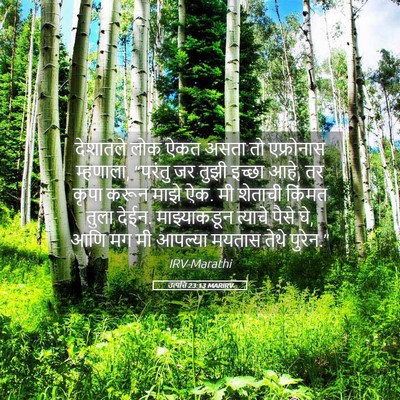 Picture 05 - उत्पत्ति 23:13 MARIRV - देशातले लोक ऐकत - Bible Verse Picture