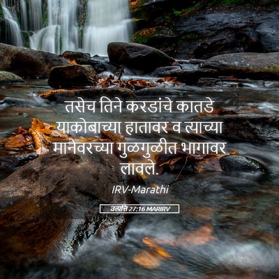 Picture 05 - उत्पत्ति 27:16 MARIRV - तसेच तिने करडांचे - Bible Verse Picture