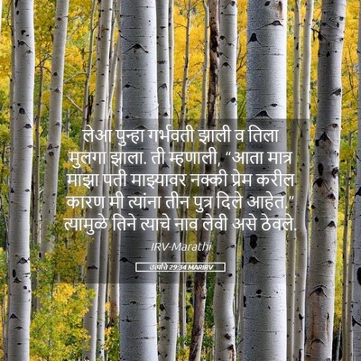 Picture 05 - उत्पत्ति 29:34 MARIRV - लेआ पुन्हा - Bible Verse Picture