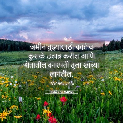 Picture 05 - उत्पत्ति 3:18 MARIRV - जमीन तुझ्यासाठी - Bible Verse Picture