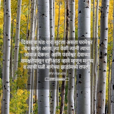 Picture 05 - उत्पत्ति 3:8 MARIRV - दिवसाचा थंड वारा - Bible Verse Picture
