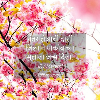 Picture 05 - उत्पत्ति 30:10 MARIRV - नंतर लेआची दासी - Bible Verse Picture