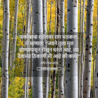 Picture 05 - उत्पत्ति 30:2 MARIRV - याकोबाचा राहेलवर - Bible Verse Picture