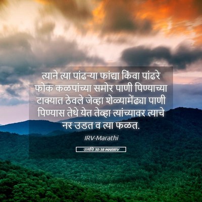 Picture 05 - उत्पत्ति 30:38 MARIRV - त्याने त्या - Bible Verse Picture
