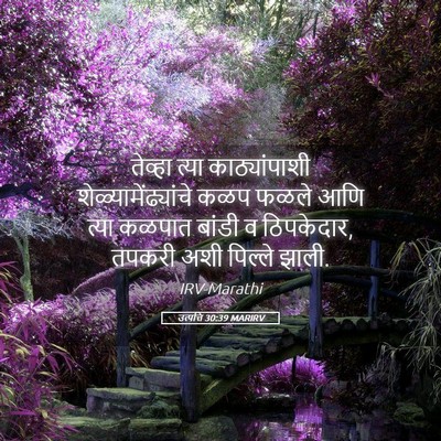 Picture 05 - उत्पत्ति 30:39 MARIRV - तेव्हा त्या - Bible Verse Picture