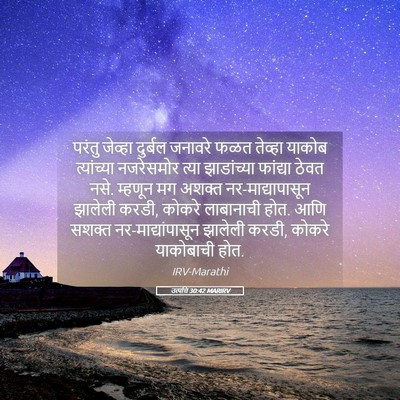 Picture 05 - उत्पत्ति 30:42 MARIRV - परंतु जेव्हा - Bible Verse Picture