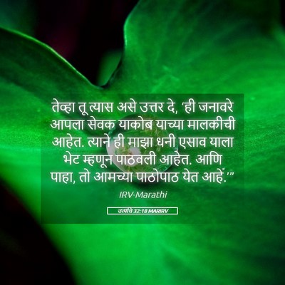 Picture 05 - उत्पत्ति 32:18 MARIRV - तेव्हा तू त्यास - Bible Verse Picture
