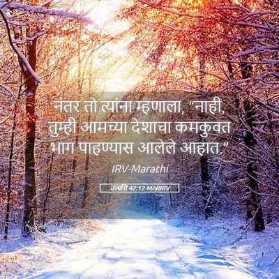 Picture 05 - उत्पत्ति 42:12 MARIRV - नंतर तो त्यांना - Bible Verse Picture